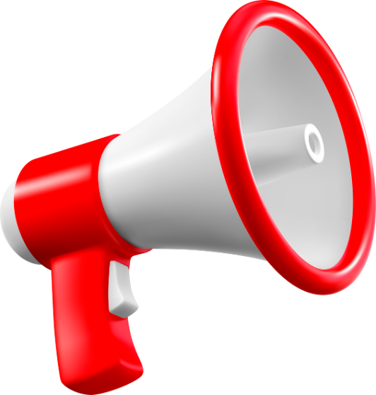 Noticia fitel network